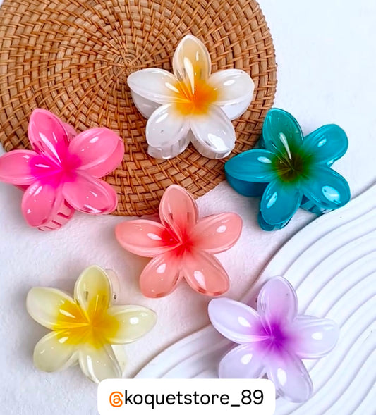 Hair clips
