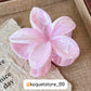 Hair clips